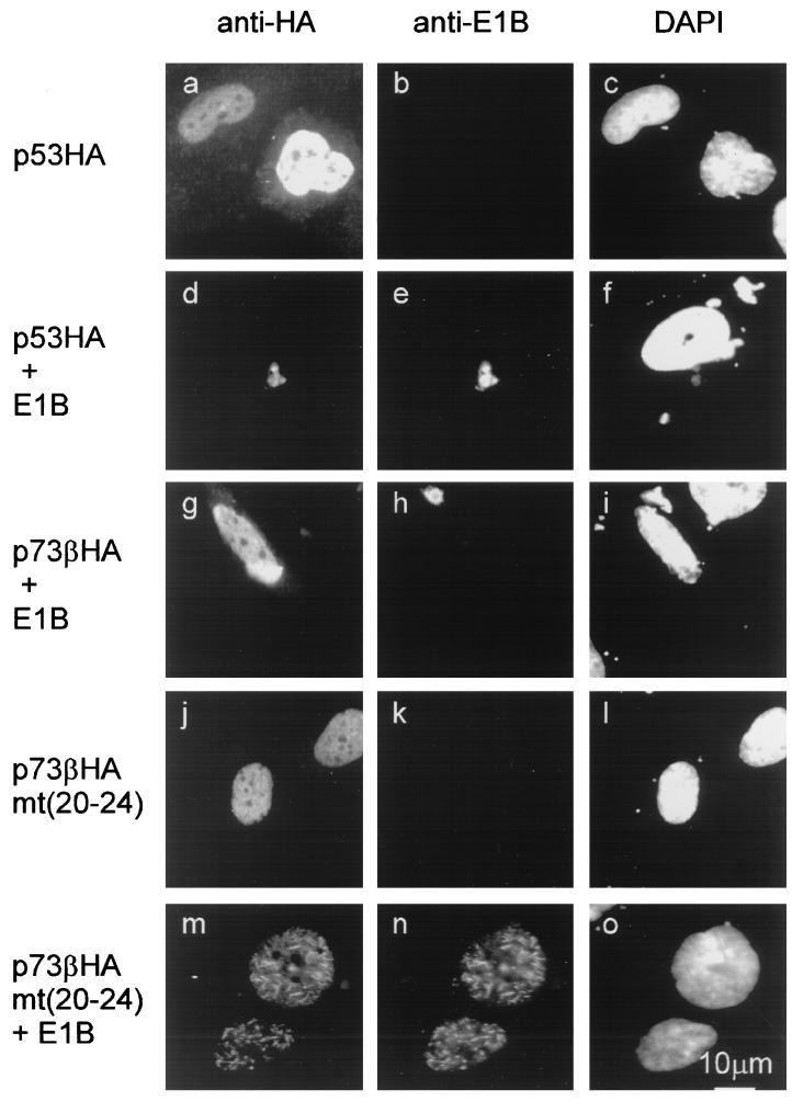 FIG. 5