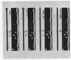 224