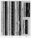 223