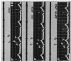 216
