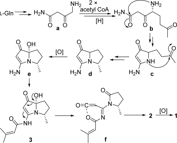 Scheme 2