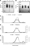 Fig. 2.