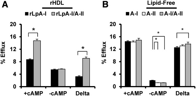 Fig. 9.