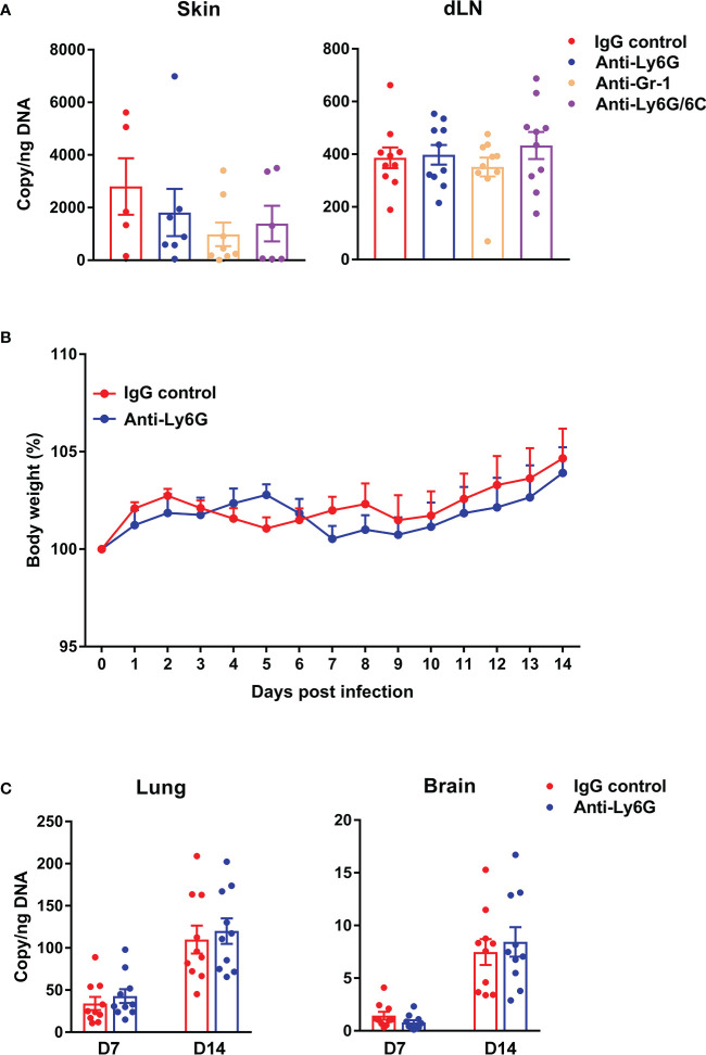 Figure 3