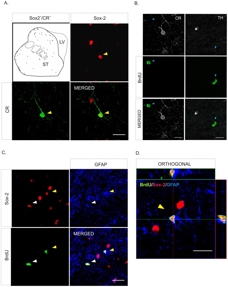 Figure 4