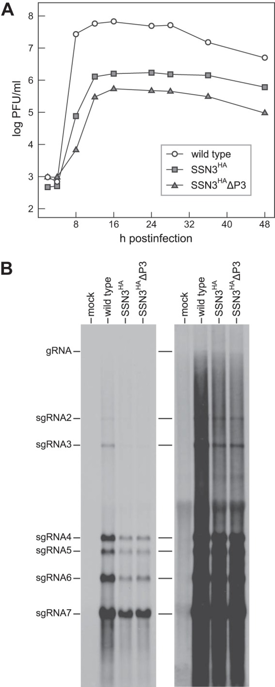 FIG 8