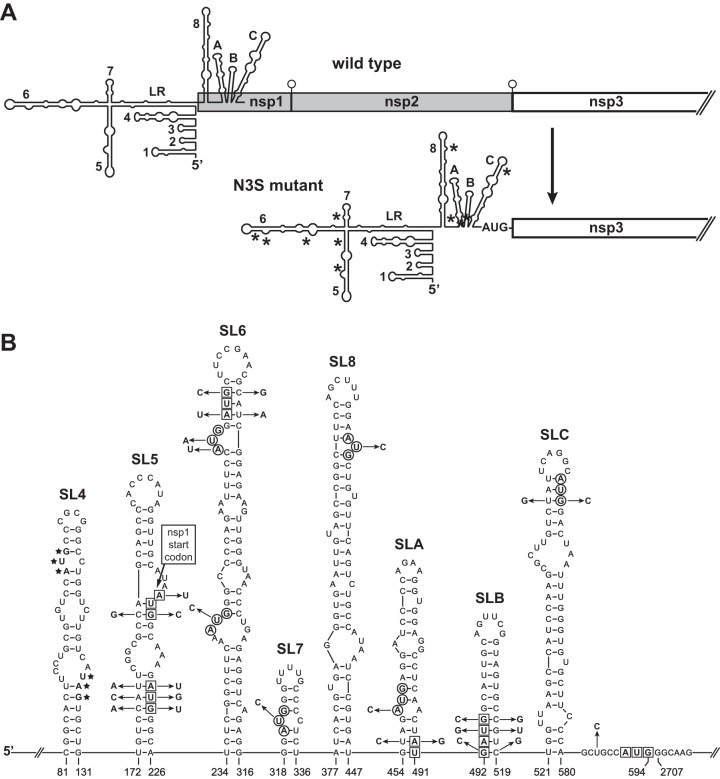 FIG 2