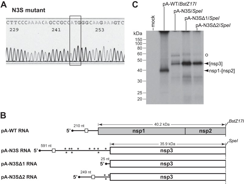 FIG 3