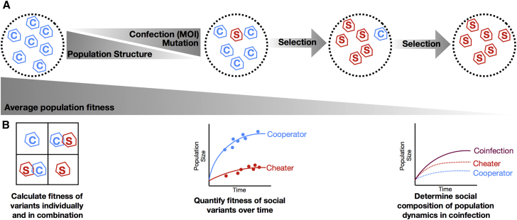 Figure 2