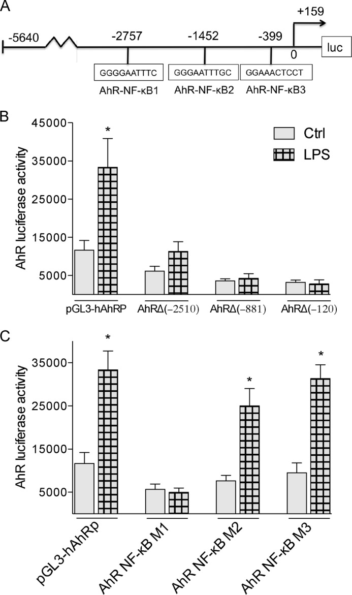 FIGURE 4.