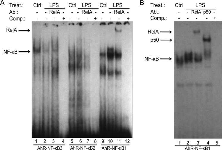 FIGURE 5.