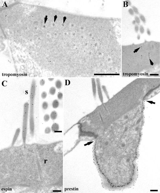 Figure 10.