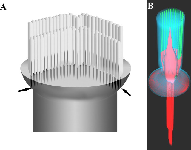 Figure 11.