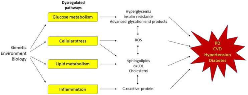 Figure 2: