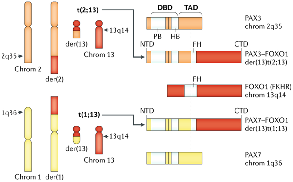 Figure 2: