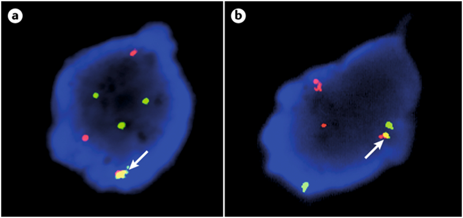 Figure 5: