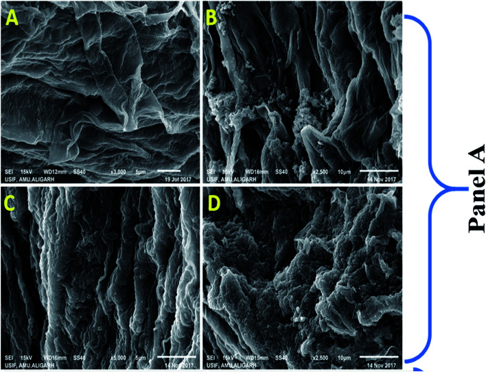 Fig. 10