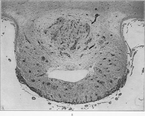 Fig. 8