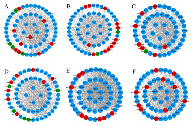 Figure 7