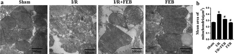 Figure 4