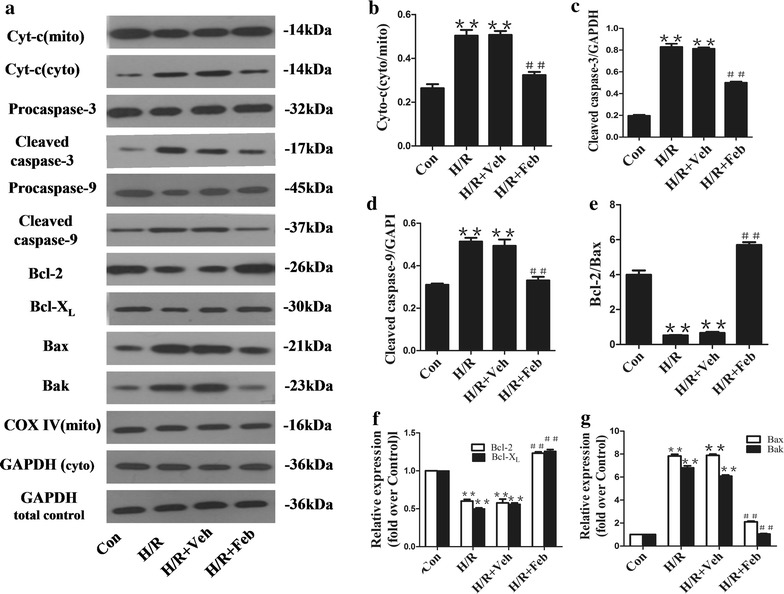 Figure 6