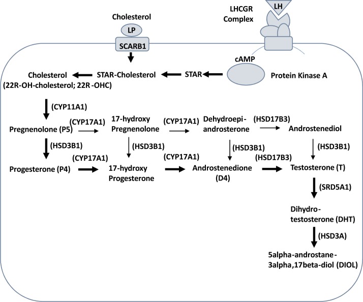 Fig 1