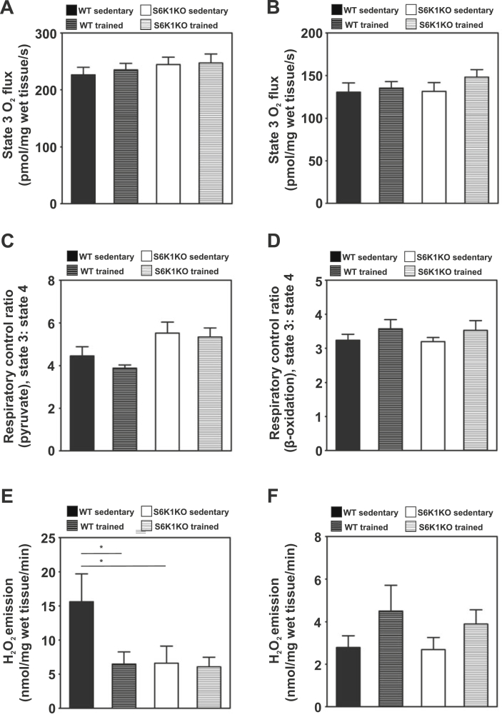 Figure 6