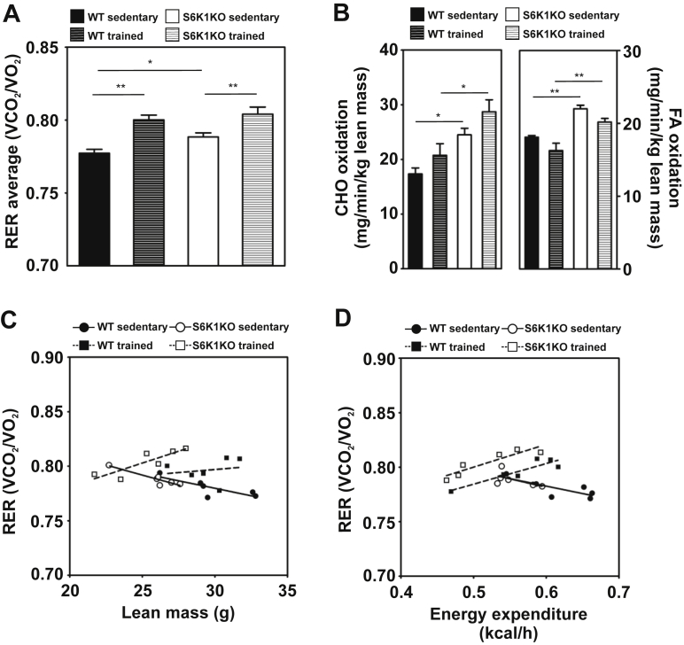 Figure 5