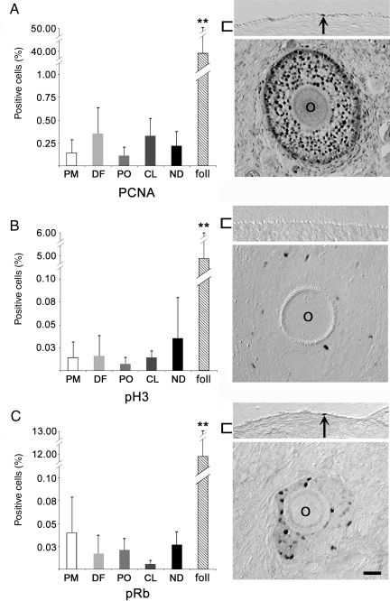 Figure 6