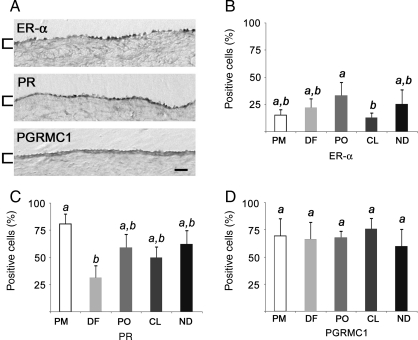 Figure 5