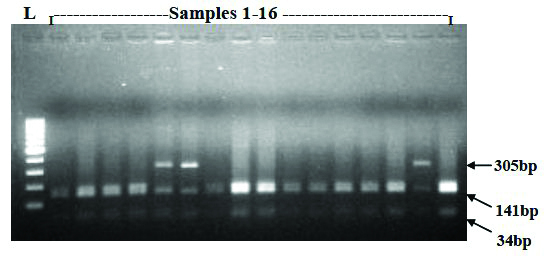 [Table/Fig-5]: