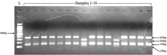 [Table/Fig-3]: