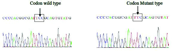 [Table/Fig-6a]: