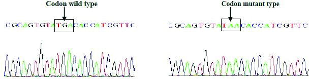 [Table/Fig-6b]: