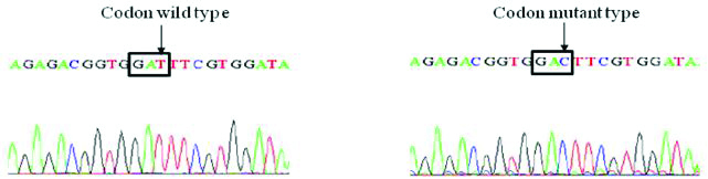 [Table/Fig-6c]: