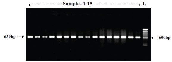 [Table/Fig-2]: