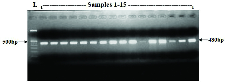 [Table/Fig-4]: