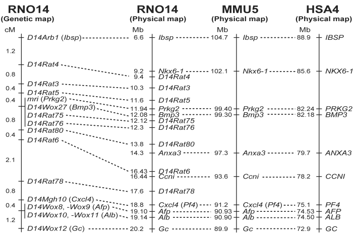 Figure 5.