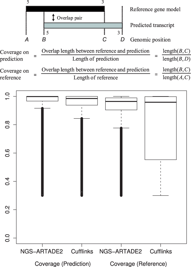 Fig. 8.