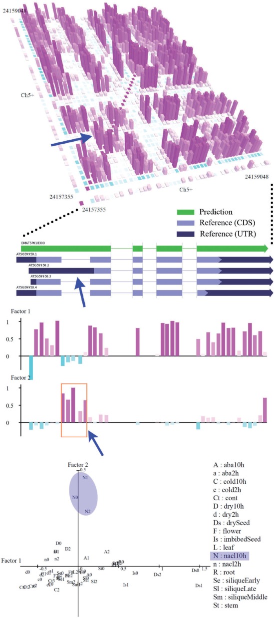 Fig. 10.