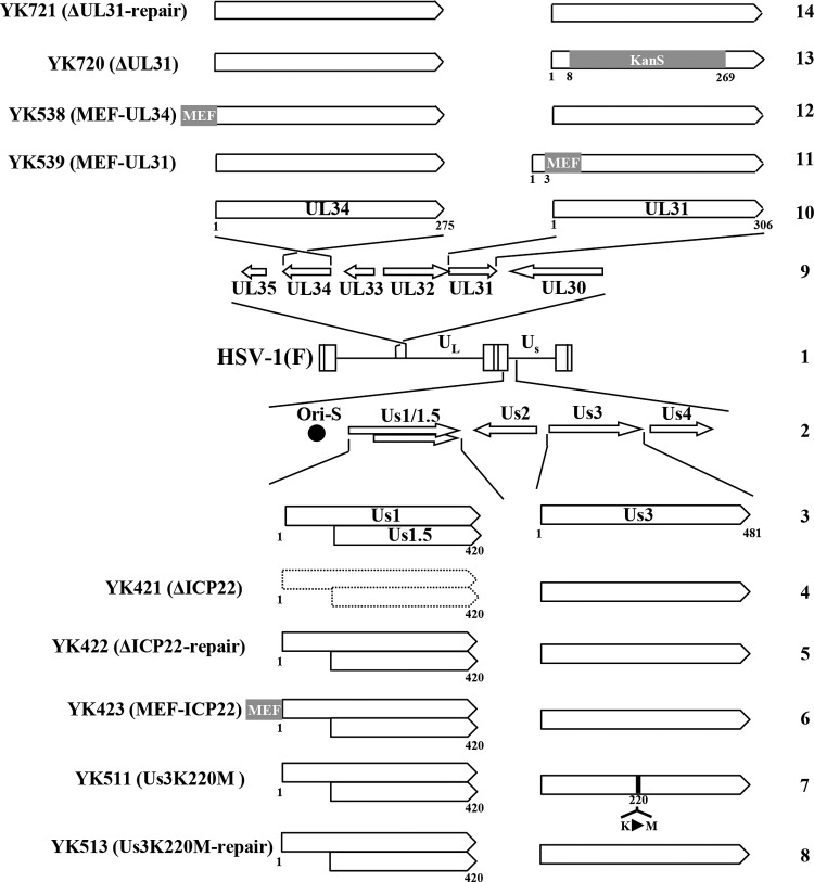 FIG 1