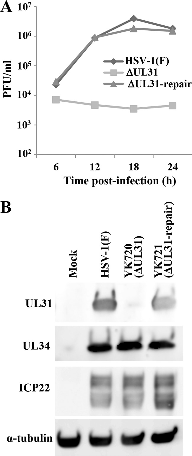 FIG 5