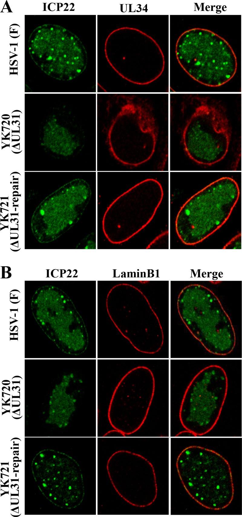 FIG 6