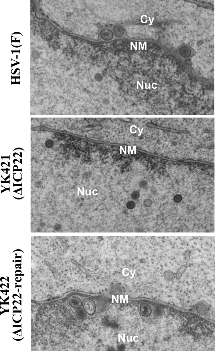 FIG 9