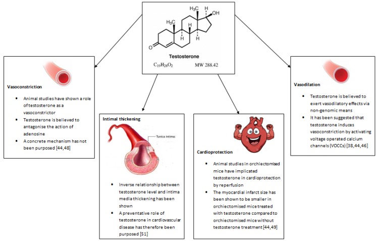 Fig. (1)