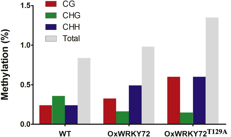 Figure 7