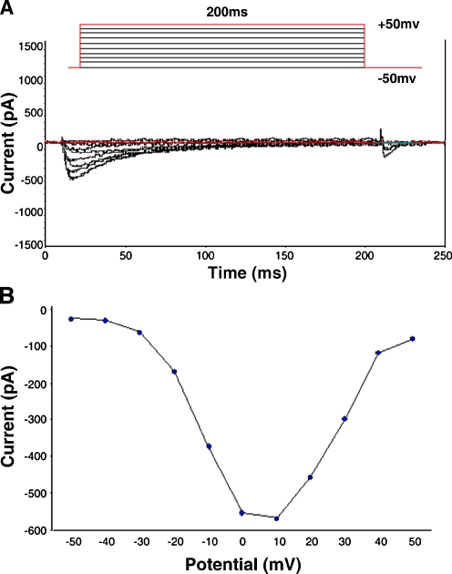 Fig. 1