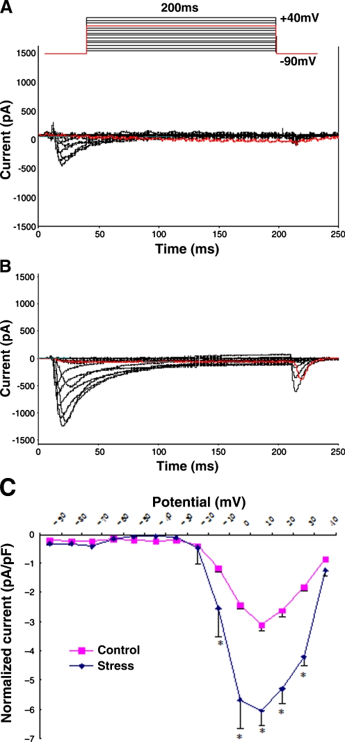 Fig. 2