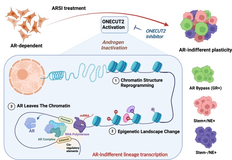 Graphical Abstract