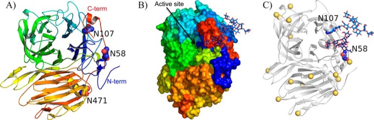 FIGURE 1.